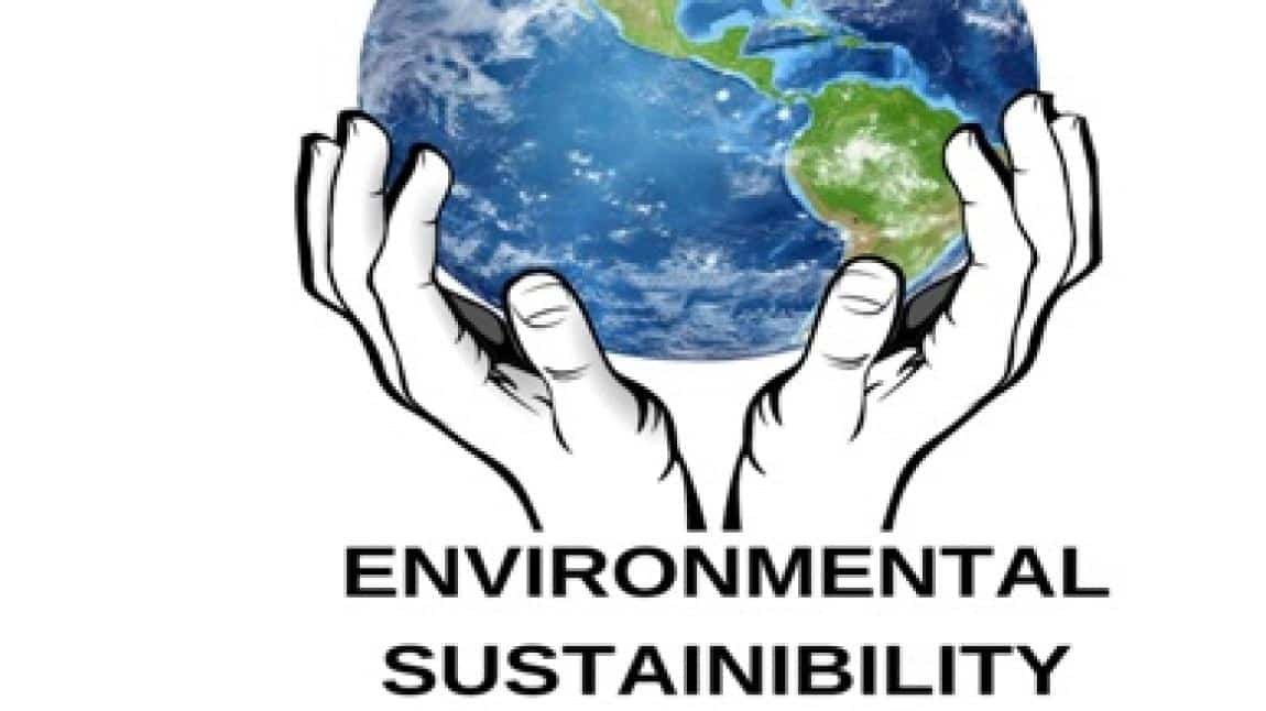 Okulumuzdan yeni e-Twinnig projesi : Sustainable Environment (Sürdürülebilir Çevre)